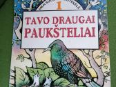 Daug knygu vaikams - nuotraukos Nr. 8