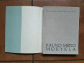 A. Valiuškevičiūtė "Kauno meno mokykla" 1971 metai - nuotraukos Nr. 2