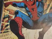 Paveikslėliai metaliniai visokie 30x20 cm po 10 eu - nuotraukos Nr. 21
