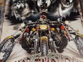 Lentelės su motociklais kaina10 eurų - nuotraukos Nr. 9