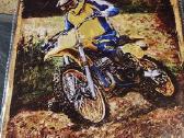 Lentelės su motociklais kaina10 eurų - nuotraukos Nr. 15
