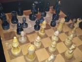 Sachmatu lenta