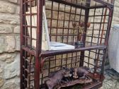 Vintažinė mid century ratango etažerė - nuotraukos Nr. 20