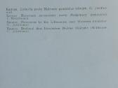 Atvirutės .Lietuvos vaizdai .Skelbimas Nr.3 - nuotraukos Nr. 6