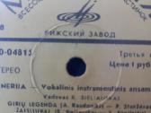 Plokštelė vinilinė - nuotraukos Nr. 3