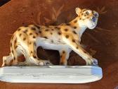 Leopardas. Sitzendorf 34271 - nuotraukos Nr. 6