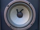 Bose 601 III,301series II, 2000 Lx, klassic 70 - nuotraukos Nr. 33