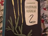 Vaistiniai augalai
