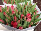 Mamos dienai Tulpes didmena kaina nuo 0,40 cnt
