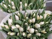 Mamos dienai Tulpes didmena kaina nuo 0,40 cnt - nuotraukos Nr. 3