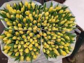 Mamos dienai Tulpes didmena kaina nuo 0,40 cnt - nuotraukos Nr. 4