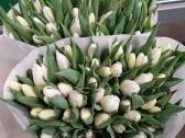 Mamos dienai Tulpes didmena kaina nuo 0,40 cnt - nuotraukos Nr. 5
