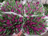 Mamos dienai Tulpes didmena kaina nuo 0,40 cnt - nuotraukos Nr. 6