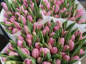 Mamos dienai Tulpes didmena kaina nuo 0,40 cnt - nuotraukos Nr. 7