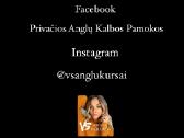 Anglų Kalbos Pamokos Privačiai - nuotraukos Nr. 3