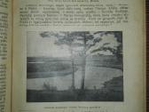1272. Ateitis antikvarinis-kolekcinis žurnalas - nuotraukos Nr. 10