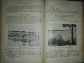 1272. Ateitis antikvarinis-kolekcinis žurnalas - nuotraukos Nr. 13