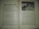 1272. Ateitis antikvarinis-kolekcinis žurnalas - nuotraukos Nr. 19