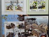 Pandos,meškos,koalos - nuotraukos Nr. 13