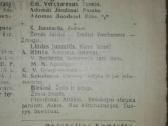 Aušrinė Pažangiosios moksleivijos laikraštis - nuotraukos Nr. 3