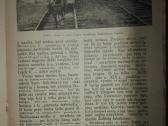 Mūsų Jaunimas 1937 m. antikvarinis-kolekcinis žurn - nuotraukos Nr. 4
