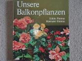 Mūsų balkono augalai