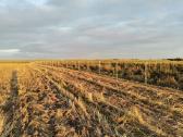 Akcija! Agro tinklas gera kaina. - nuotraukos Nr. 2