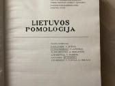 Lietuvos pomologija - nuotraukos Nr. 2