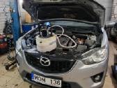 Automobilio pečiuko plovimas, keitimas - nuotraukos Nr. 7