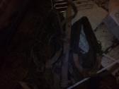 Pavalkai,pakinktai,kaupikas,pasagos - nuotraukos Nr. 7