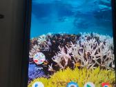 Nokia 7.1 - nuotraukos Nr. 2