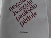 Negęsta žvaigždė paukščio pėdoje - nuotraukos Nr. 2