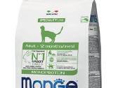 Royal canin,josera ,koncervai ,kraikas katems. - nuotraukos Nr. 15