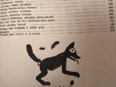 Knygų serija kultūros pėdsakais 7 vnt - nuotraukos Nr. 13