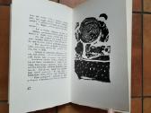 Knyga su spaustuvės broku. - nuotraukos Nr. 8