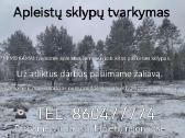 Apleistų sklypų tvarkymas.sodo sklypų valymas - nuotraukos Nr. 2