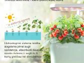 Hidroponinė sistema pradedantiesiems - nuotraukos Nr. 3
