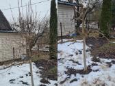 Aplinkos tvarkymas, Apželdinimas - nuotraukos Nr. 14