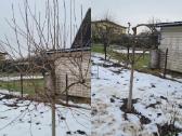 Aplinkos tvarkymas, Apželdinimas - nuotraukos Nr. 15