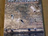 Amsterdamas - nuotraukos Nr. 8