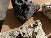 Alvariumo akmenys - nuotraukos Nr. 7