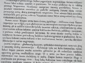 Kolekcija - nuotraukos Nr. 5