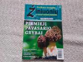 Sveikatos žurnalas žiniuonių patarimai 2019-03
