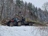 Medžių ir krūmų iškirtimas - apleisto sklypo valym - nuotraukos Nr. 2