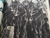 Karys 1938m - nuotraukos Nr. 5