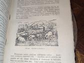 Senos knygos apie gyvulininkyste ir - nuotraukos Nr. 6