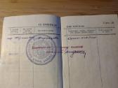 Medicinos sesers lotas didysis tėvynės karas - nuotraukos Nr. 8