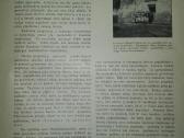 1307. Pasaulio Lietuvis antikvarinis-kolekcinis žu - nuotraukos Nr. 9