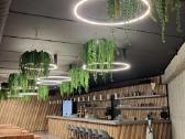Betoniniai Vazonai Jūsų Kiemui - nuotraukos Nr. 11