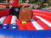 Rodeo buliaus nuoma .